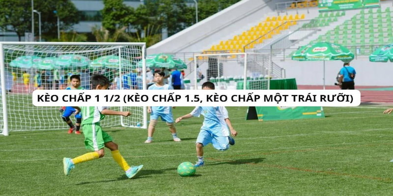 Kèo chấp 1.5 là gì đang là tỷ lệ handicap được nhiều bet thủ lựa chọn